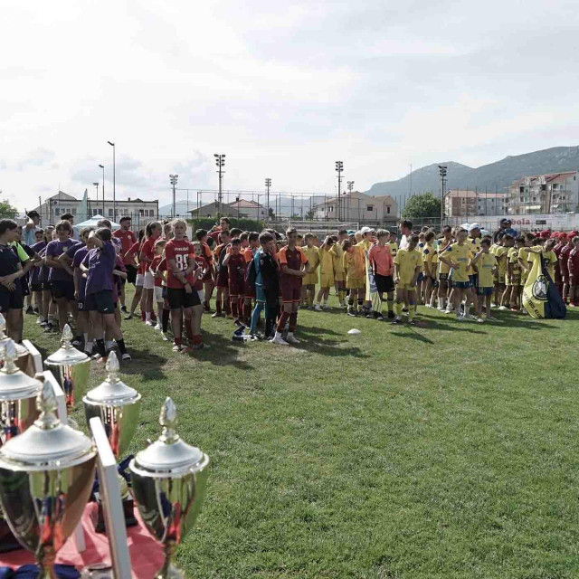 <p>Dalmatinko Cup</p>