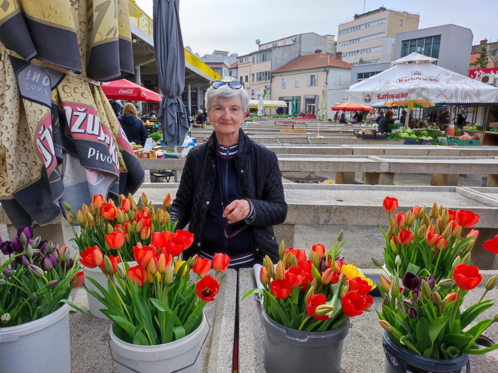 &lt;p&gt;Radmila Kuvač i njezini tulipani na šibenskoj pijaci&lt;/p&gt;

&lt;p&gt;Snimio: Zdravko Pilić&lt;/p&gt;