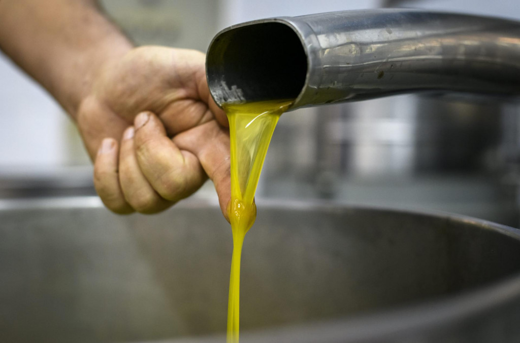 &lt;p&gt;Zašto Ministarstvo želi proizvodnju maslinova ulja podvesti pod novu djelatnost OPG-a?&lt;/p&gt;