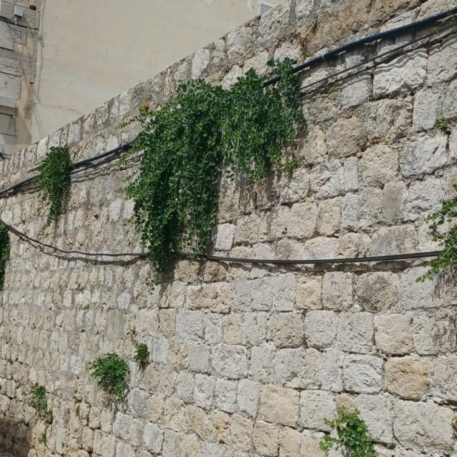 &lt;p&gt;Kapara na zidu bivše tvornice Radeljević, u Dubrovniku&lt;/p&gt;