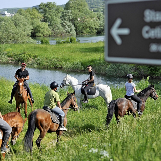 &lt;p&gt;Izletnici na konjima u Košutama uz rijeku Cetinu - u konjičkom sportu kriju se sjajne turističke perspektive&lt;/p&gt;