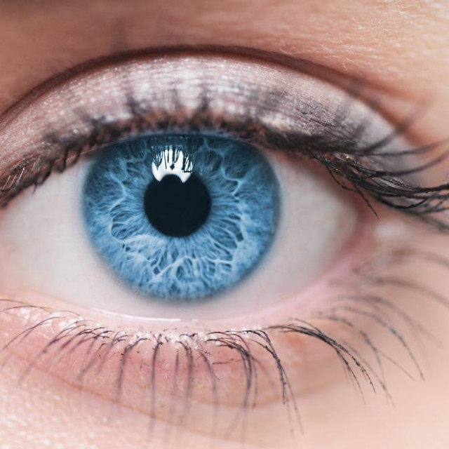 &lt;p&gt;Oko 80 posto pacijenata izgubi vid nepovratno čak do potpune sljepoće&lt;/p&gt;