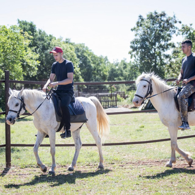 &lt;p&gt;Ivan i Josip Lovrić: Ovo su sve stariji, iskusniji konji – naučeni na ljude&lt;/p&gt;