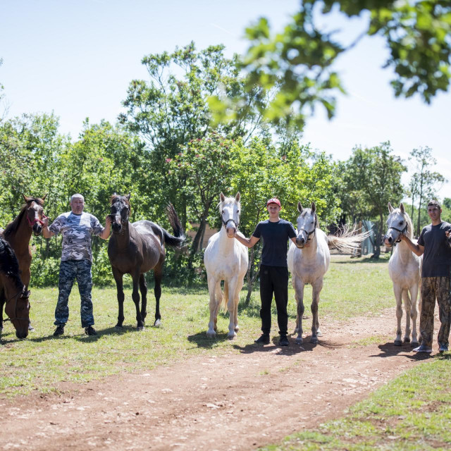 &lt;p&gt; Obitelj Lovrić koja je u sklopu svog OPG-a na Miljevcima pokrenula posao s konjima. Na fotografiji: Ante, Ivan i Josip Lovrić&lt;/p&gt;