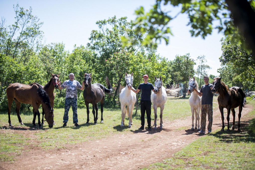 &lt;p&gt; Obitelj Lovrić koja je u sklopu svog OPG-a na Miljevcima pokrenula posao s konjima. Na fotografiji: Ante, Ivan i Josip Lovrić&lt;/p&gt;