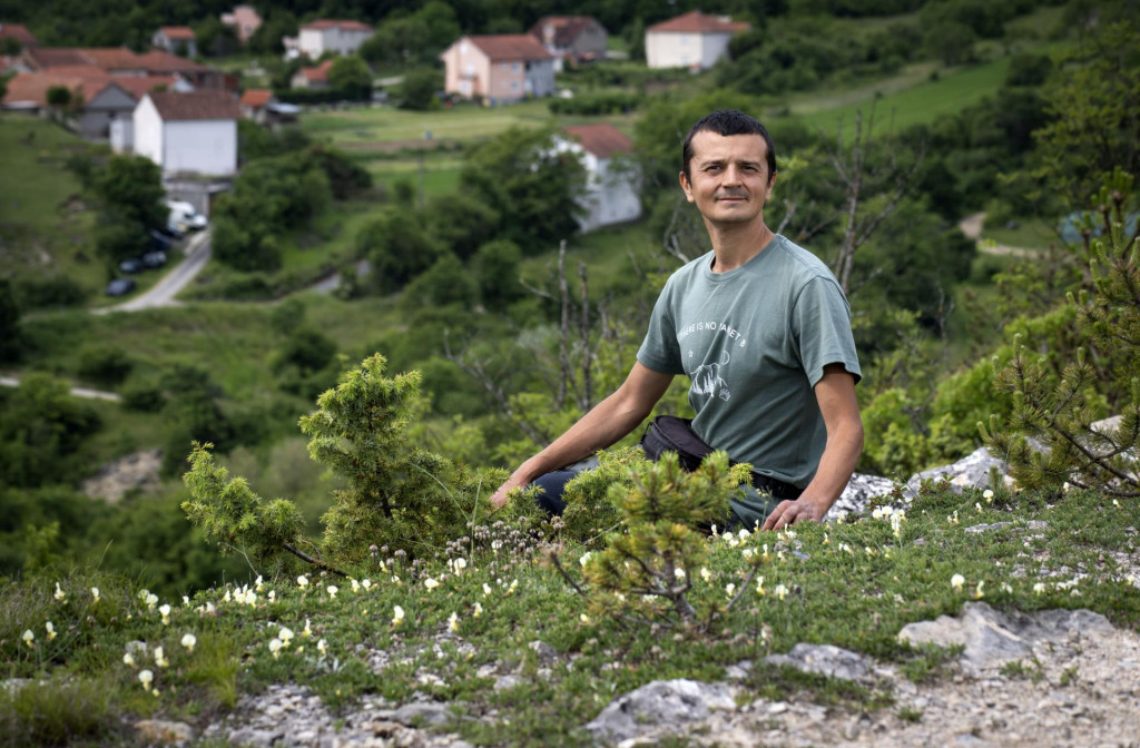 &lt;p&gt;Marko Cvrlje, ekološki aktivist upozorava na devastaciju staništa strogo zaštićene biljke dalmatinska tila&lt;/p&gt;