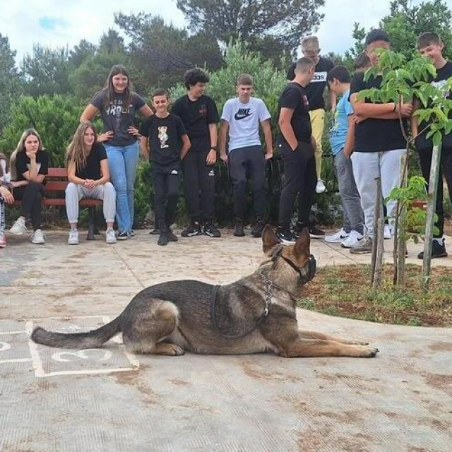&lt;p&gt;Učenicima brodaričke škole predstavljen rad policijskog psa za detekciju droge&lt;/p&gt;