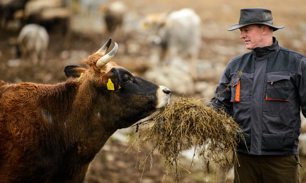 &lt;p&gt;&lt;br&gt;
Barisa Dejanovic, bivsi svecenik, uzgaja krave autohtonih hrvatskih pasmina, busa i boskarin, na svojoj farmi u blizini Udbine.&lt;br&gt;
Na fotografiji: Barisa Dejanovic i krava busa&lt;br&gt;