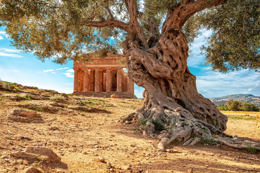 Slobodna Dalmacija Turisti Ga Obo Avaju I Masovno Se Slijevaju U Ovaj