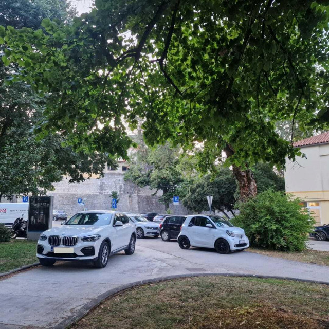 <p>kralj parkinga</p>