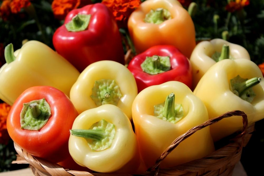 &lt;p&gt;Closeup of Bell Peppers, red, orange and green in a wicker basket&lt;/p&gt;