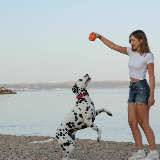 &lt;p&gt;Povljana na Otoku Pagu: top dog-friendly destinacija&lt;/p&gt;