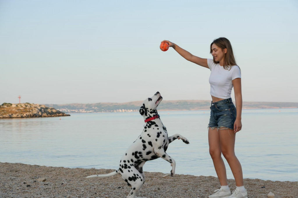 &lt;p&gt;Povljana na Otoku Pagu: top dog-friendly destinacija&lt;/p&gt;