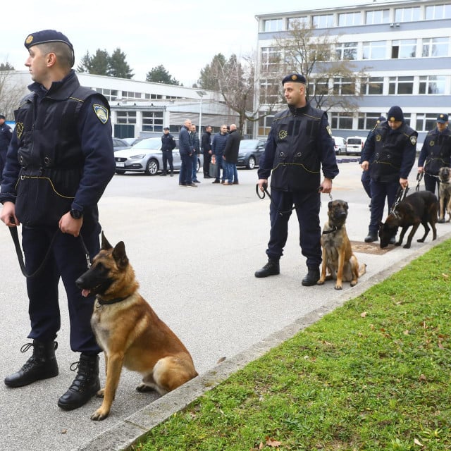 &lt;p&gt;Službeni psi strah su i trepet različitih švercera&lt;/p&gt;