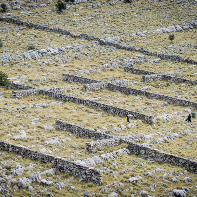 &lt;p&gt;Kornati, 300823. U spomen-parku na otoku Kornatu obiljezena je 16. godisnjica kornatske tragedije u kojoj je 30. kolovoza 2007. poginulo 12 vatrogasaca.