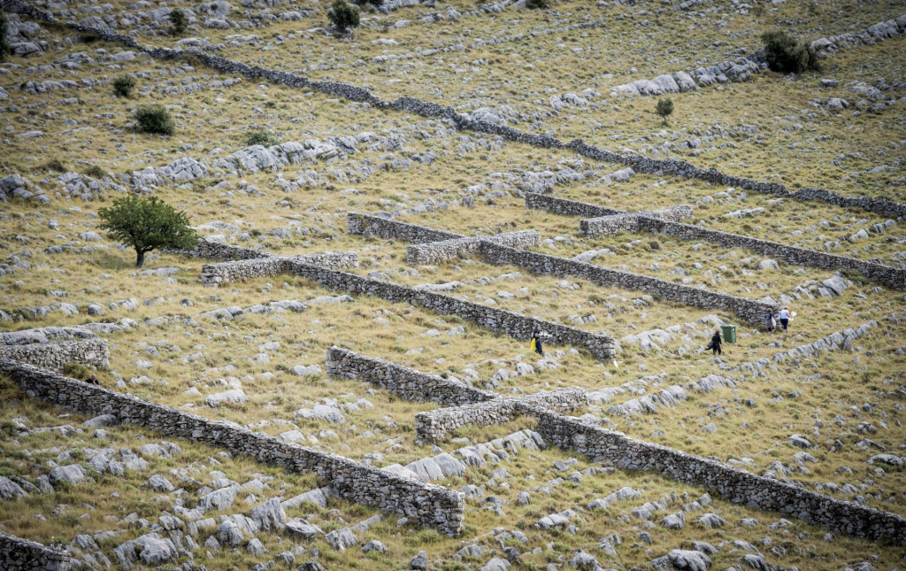 &lt;p&gt;Kornati, 300823. U spomen-parku na otoku Kornatu obiljezena je 16. godisnjica kornatske tragedije u kojoj je 30. kolovoza 2007. poginulo 12 vatrogasaca.