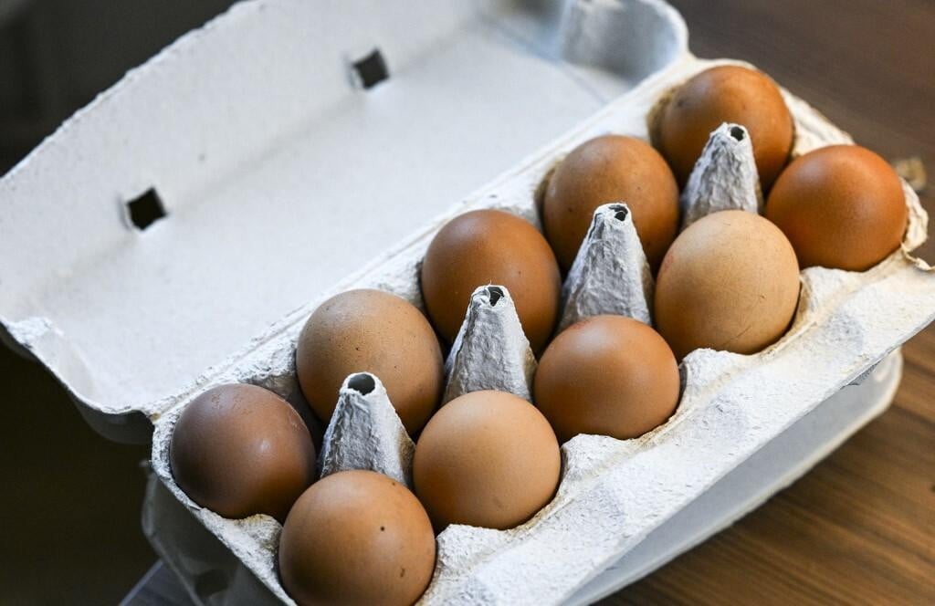 &lt;p&gt;PRODUCTION - 27 February 2024, Berlin: Eggs lie in an egg carton in a restaurant. Photo: Jens Kalaene/dpa (Photo by JENS KALAENE/DPA/dpa Picture-Alliance via AFP)&lt;/p&gt;