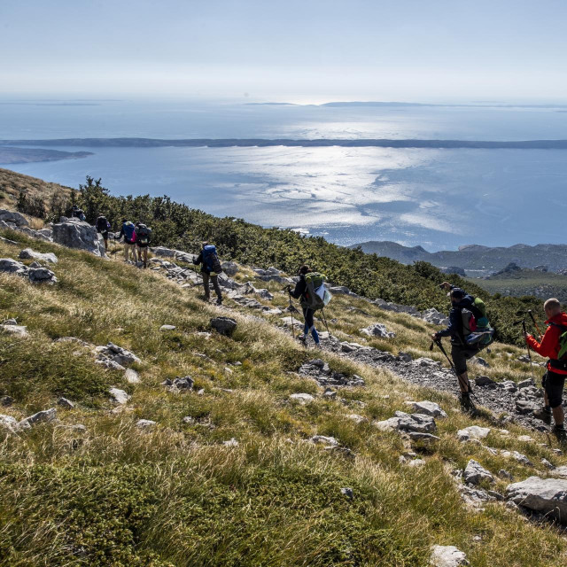 &lt;p&gt;Highlander Velebit&lt;/p&gt;