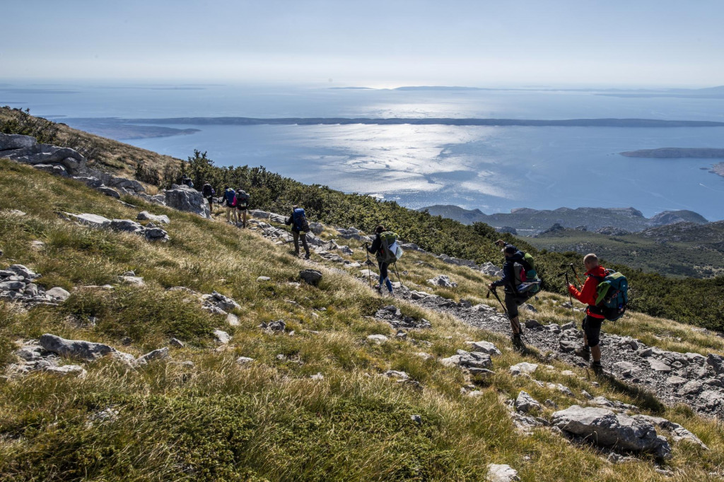 &lt;p&gt;Highlander Velebit&lt;/p&gt;