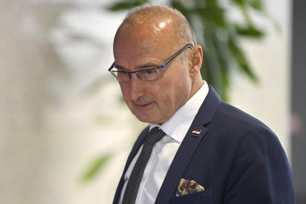 &lt;p&gt;Gordan Grlić Radman: Ako migranti dolaze ilegalno, onda je to problem za sve nas, a ne samo za Njemačku&lt;/p&gt;