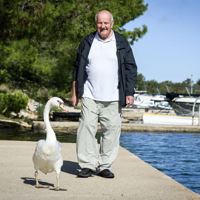 &lt;p&gt;&lt;br&gt;
Gojko Mijalica i labud kojemu je spasio život, jer je kao invalid teško hodao i plivao zbog slomljenog krila koje nije mogao priljubiti uz tijelo&lt;/p&gt;