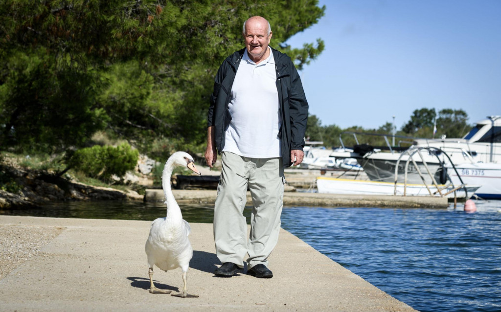 &lt;p&gt;&lt;br&gt;
Gojko Mijalica i labud kojemu je spasio život, jer je kao invalid teško hodao i plivao zbog slomljenog krila koje nije mogao priljubiti uz tijelo&lt;/p&gt;