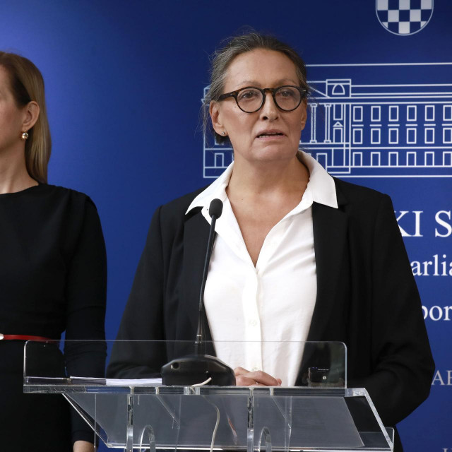 &lt;p&gt; Mirela Ahmetović i Urša Raukar-Gamulin izložile su inicijativu i okolnosti nelegalnog ugovora&lt;/p&gt;