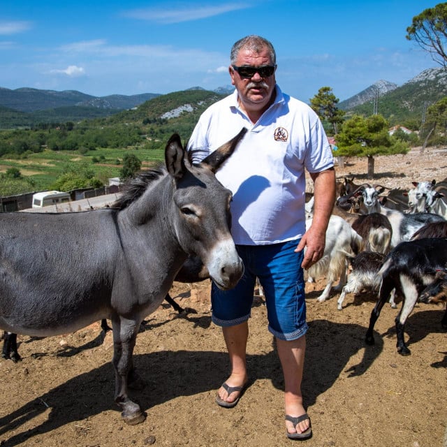 &lt;p&gt;Josip Antunović na farmi ima stotinjak magaraca&lt;/p&gt;