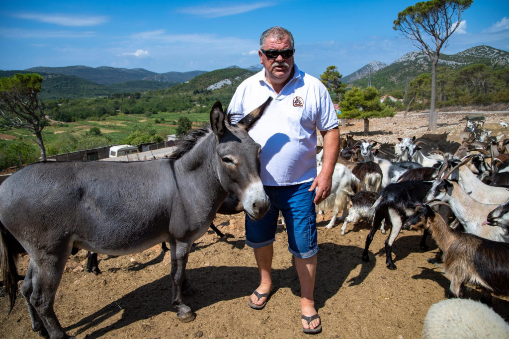 &lt;p&gt;Josip Antunović na farmi ima stotinjak magaraca&lt;/p&gt;