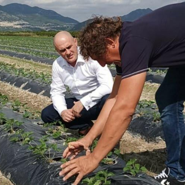 &lt;p&gt;Potpredsjednik Vlade i ministar poljoprivrede, šumarstva i ribarstva Josip Dabro posjetio poljoprivrednike doline Neretve&lt;/p&gt;