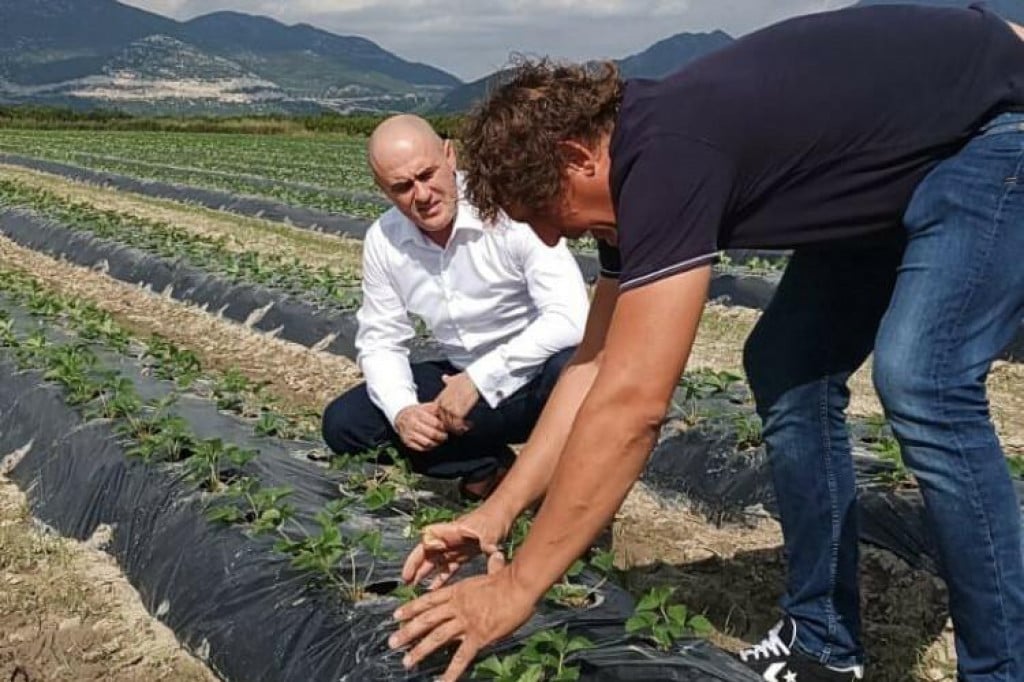 &lt;p&gt;Potpredsjednik Vlade i ministar poljoprivrede, šumarstva i ribarstva Josip Dabro posjetio poljoprivrednike doline Neretve&lt;/p&gt;