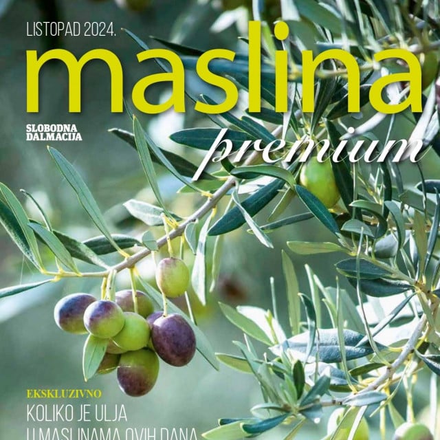 &lt;p&gt;Maslina premium naslovnica&lt;/p&gt;