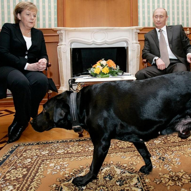 &lt;p&gt;Putin, Merkel i labradorica Koni&lt;/p&gt;