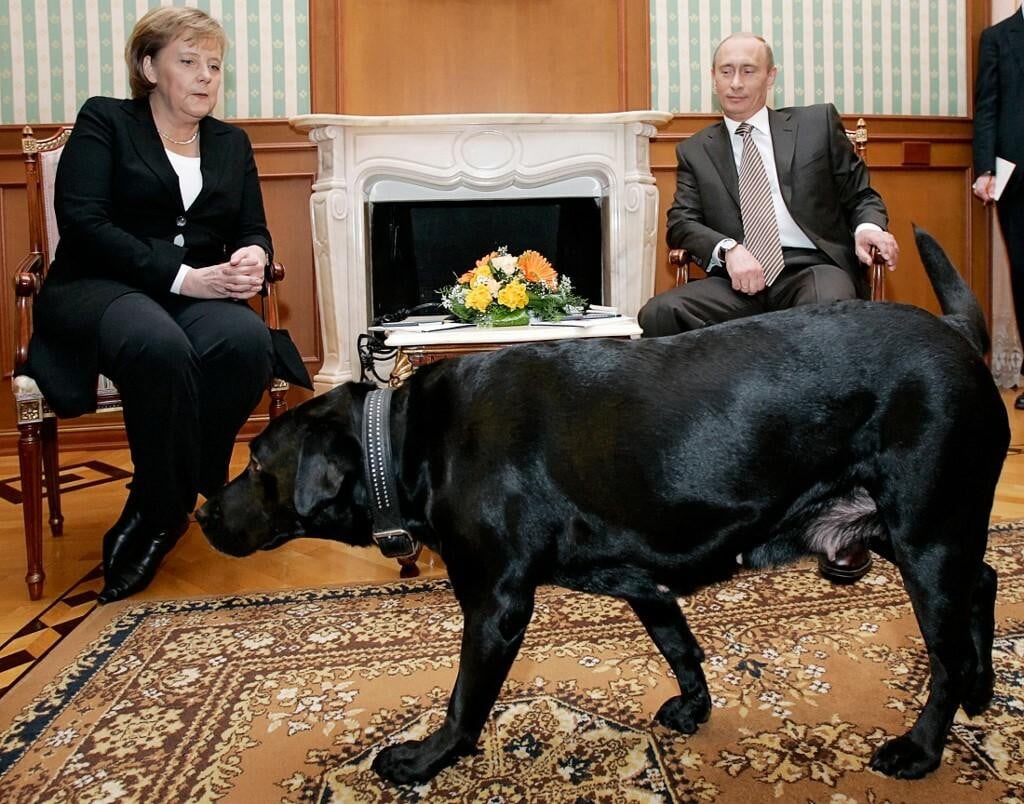 &lt;p&gt;Putin, Merkel i labradorica Koni&lt;/p&gt;