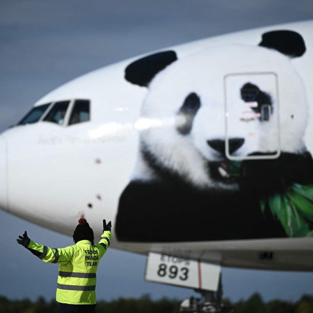 &lt;p&gt;‘Panda diplomati? Bao Li i Qing Bao u Washington su stigli avionom FedExa&lt;/p&gt;