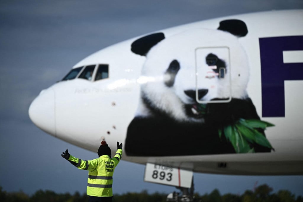 &lt;p&gt;‘Panda diplomati? Bao Li i Qing Bao u Washington su stigli avionom FedExa&lt;/p&gt;