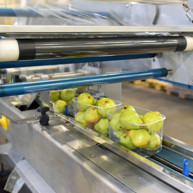 &lt;p&gt;modern packaging machine for fresh pears in a factory for food industry&lt;/p&gt;