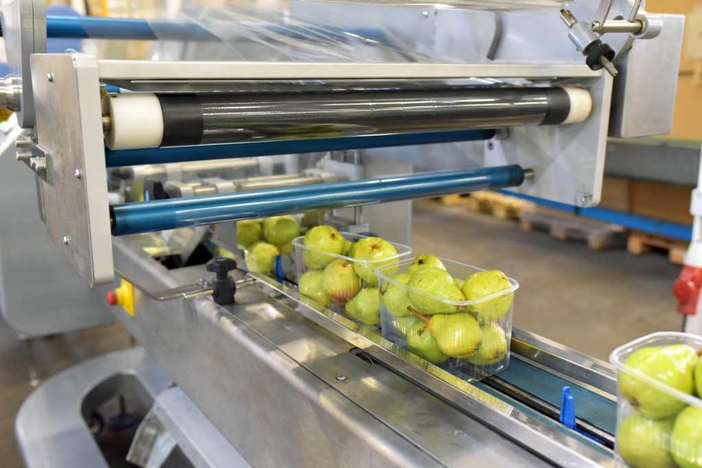 &lt;p&gt;modern packaging machine for fresh pears in a factory for food industry&lt;/p&gt;