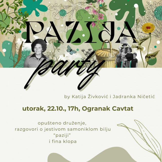 &lt;p&gt;‘Pazija party‘ u Cavtatu&lt;/p&gt;