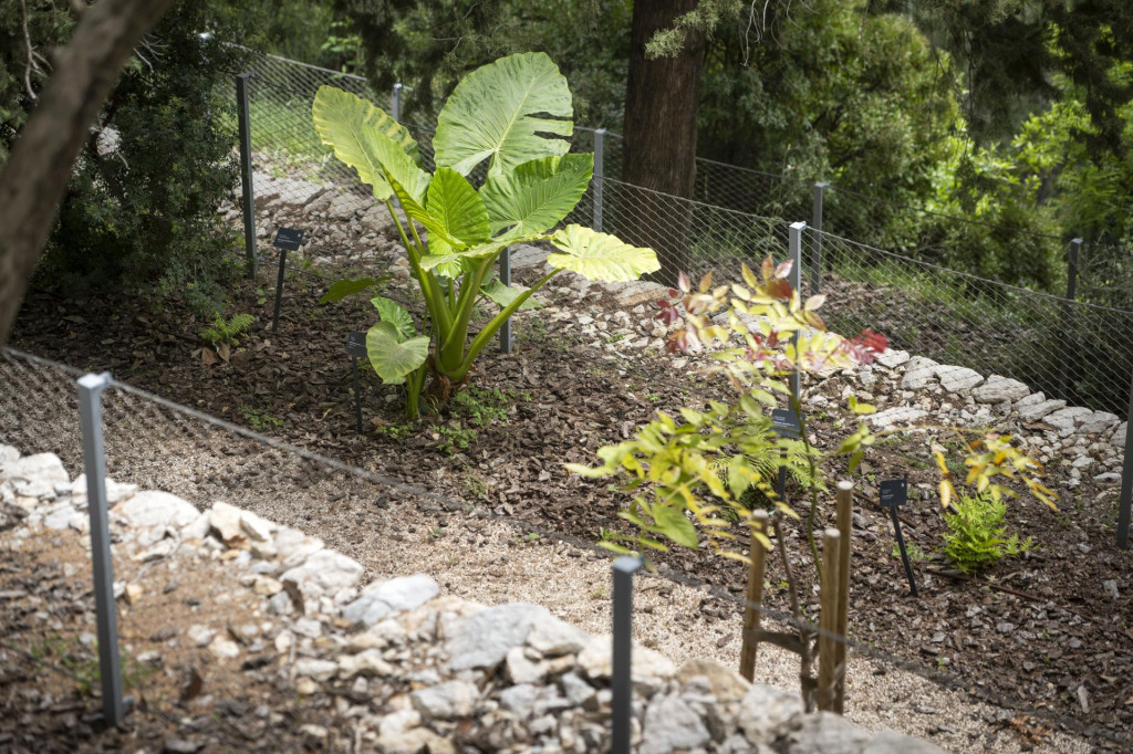 &lt;p&gt;Botanički vrt imat će manje biljaka od onog što je projektom krajobraznog uređenja planirano&lt;/p&gt;