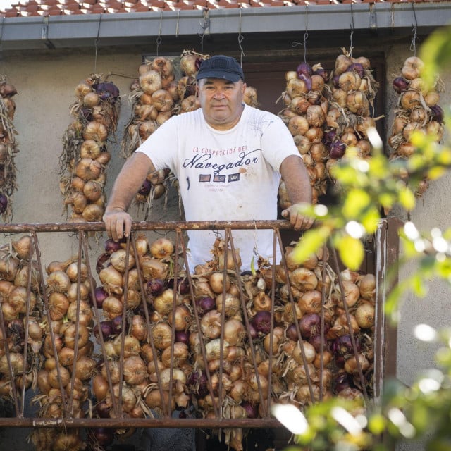 &lt;p&gt;Netko na balkonu voli cvijeće, netko kapulu&lt;/p&gt;