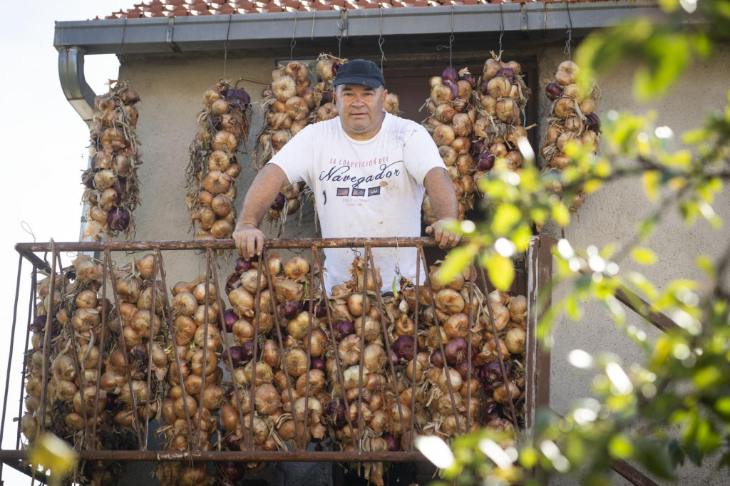 &lt;p&gt;Netko na balkonu voli cvijeće, netko kapulu&lt;/p&gt;