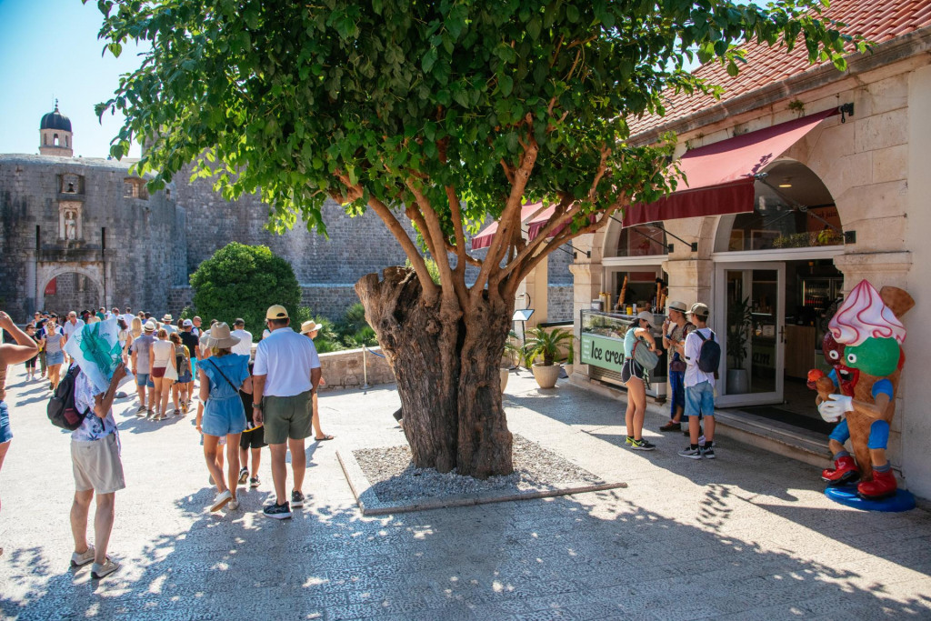 &lt;p&gt;Dubravka je jedan od lokala iz sastava UTD Ragusa, na najprometnijoj dubrovačkoj lokaciji - Brsaljama&lt;/p&gt;