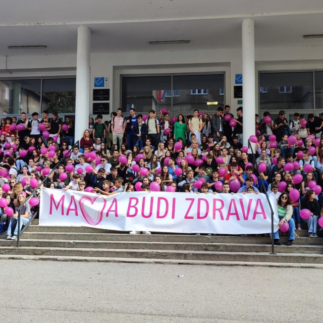 &lt;p&gt;Projekt Mama, budi zdrava u X gimnaziji Zagreb&lt;/p&gt;