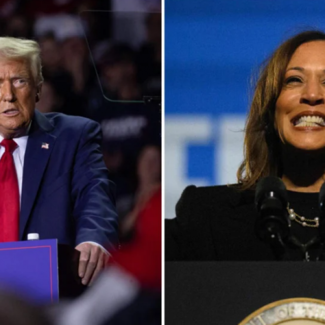 &lt;p&gt;Donald Trump, Kamala Harris&lt;/p&gt;