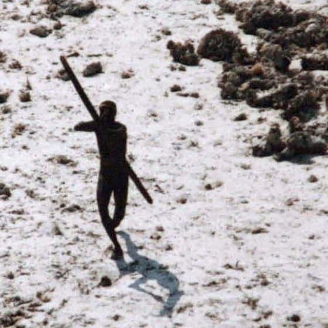 &lt;p&gt;Prpadnik plemena Sentinelese&lt;/p&gt;