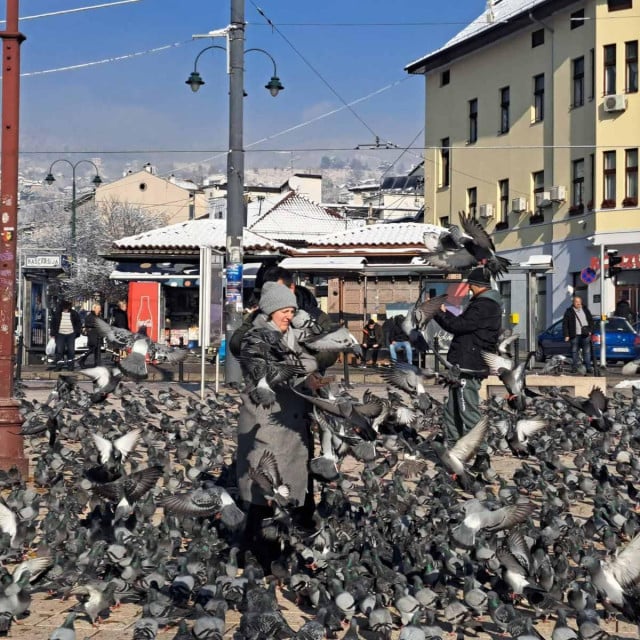 &lt;p&gt;Golubovi na sarajevskoj Baščaršiji su turistička atrakcija&lt;/p&gt;