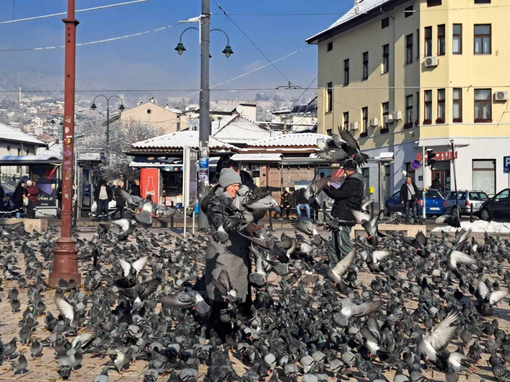 &lt;p&gt;Golubovi na sarajevskoj Baščaršiji su turistička atrakcija&lt;/p&gt;