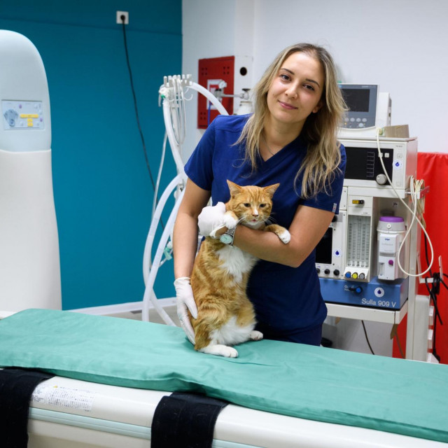 &lt;p&gt;SD&lt;br&gt;
Sibenik, 251124.&lt;br&gt;
Reportaza o Veterinarskoj ambulanti More koja koristi najsuvremeniju opremu za lijecenje zivotinja.&lt;br&gt;