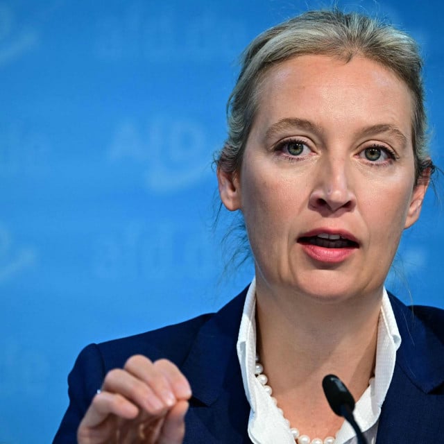 &lt;p&gt;Alice Weidel&lt;/p&gt;

&lt;p&gt;AFP&lt;/p&gt;